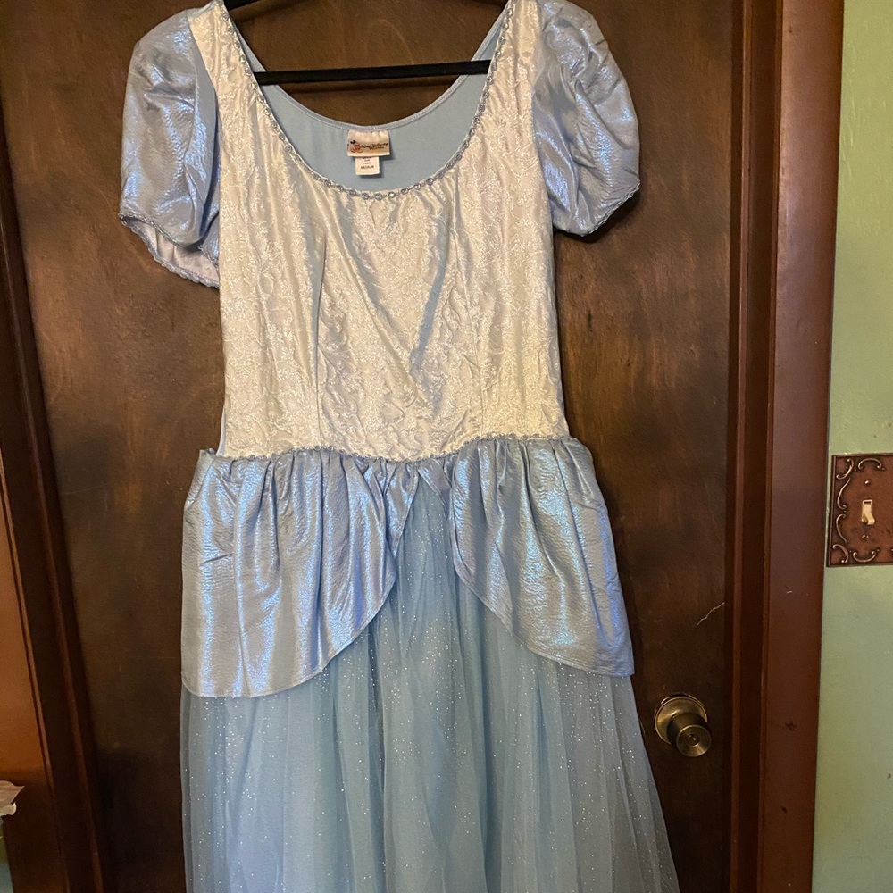 Disney Cinderella Costume Dress